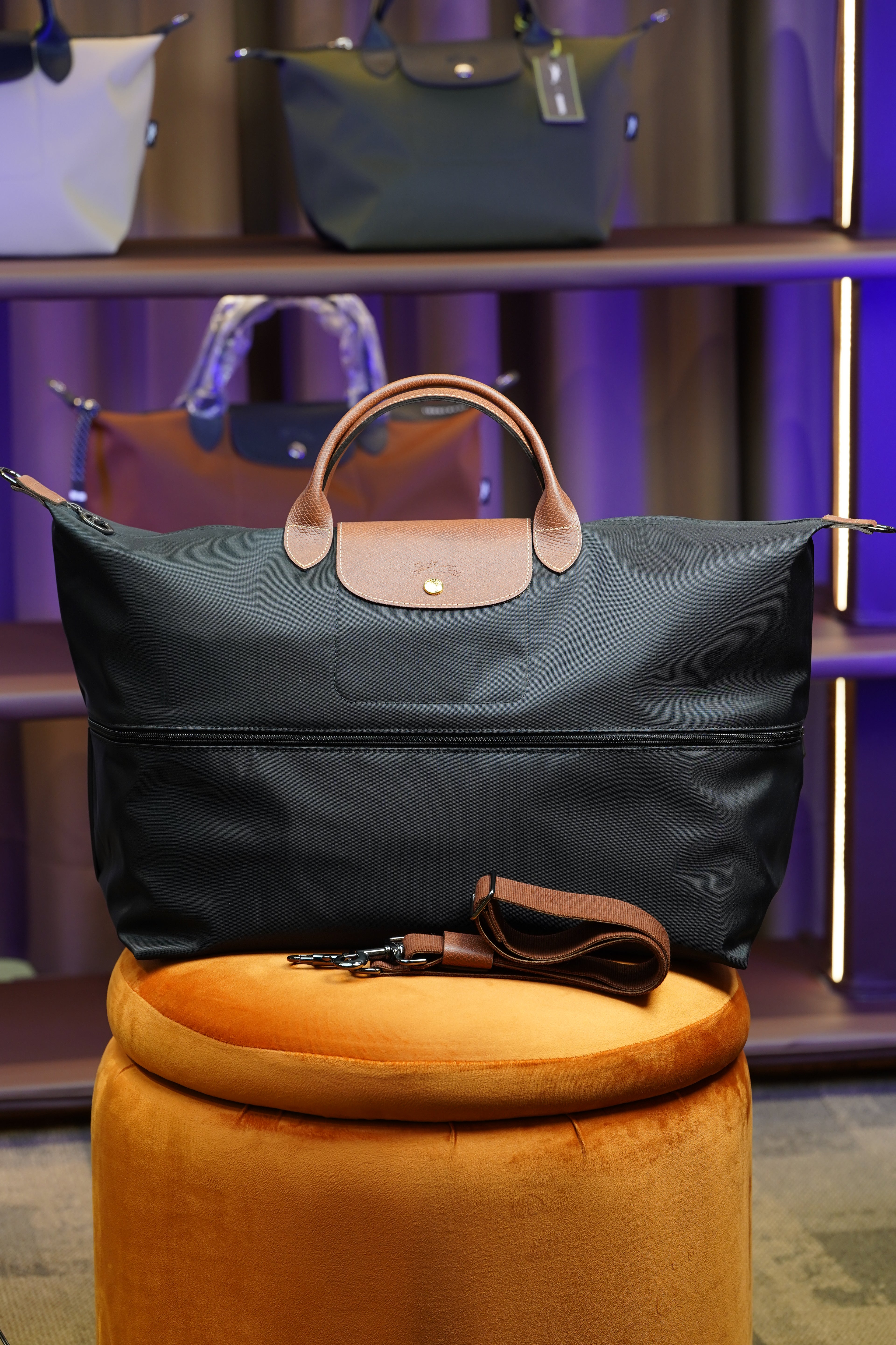 Longchamp Travel Bag