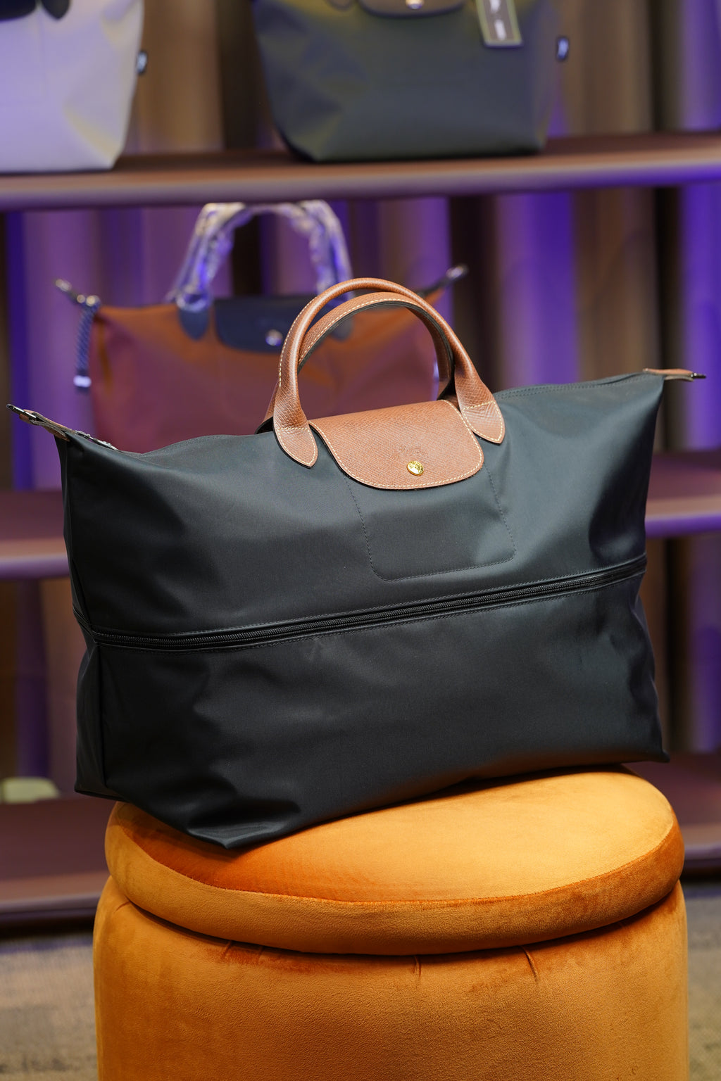 Longchamp Travel Bag