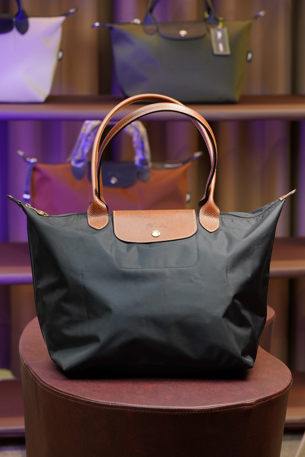 Longchamp Longhandle (Large)
