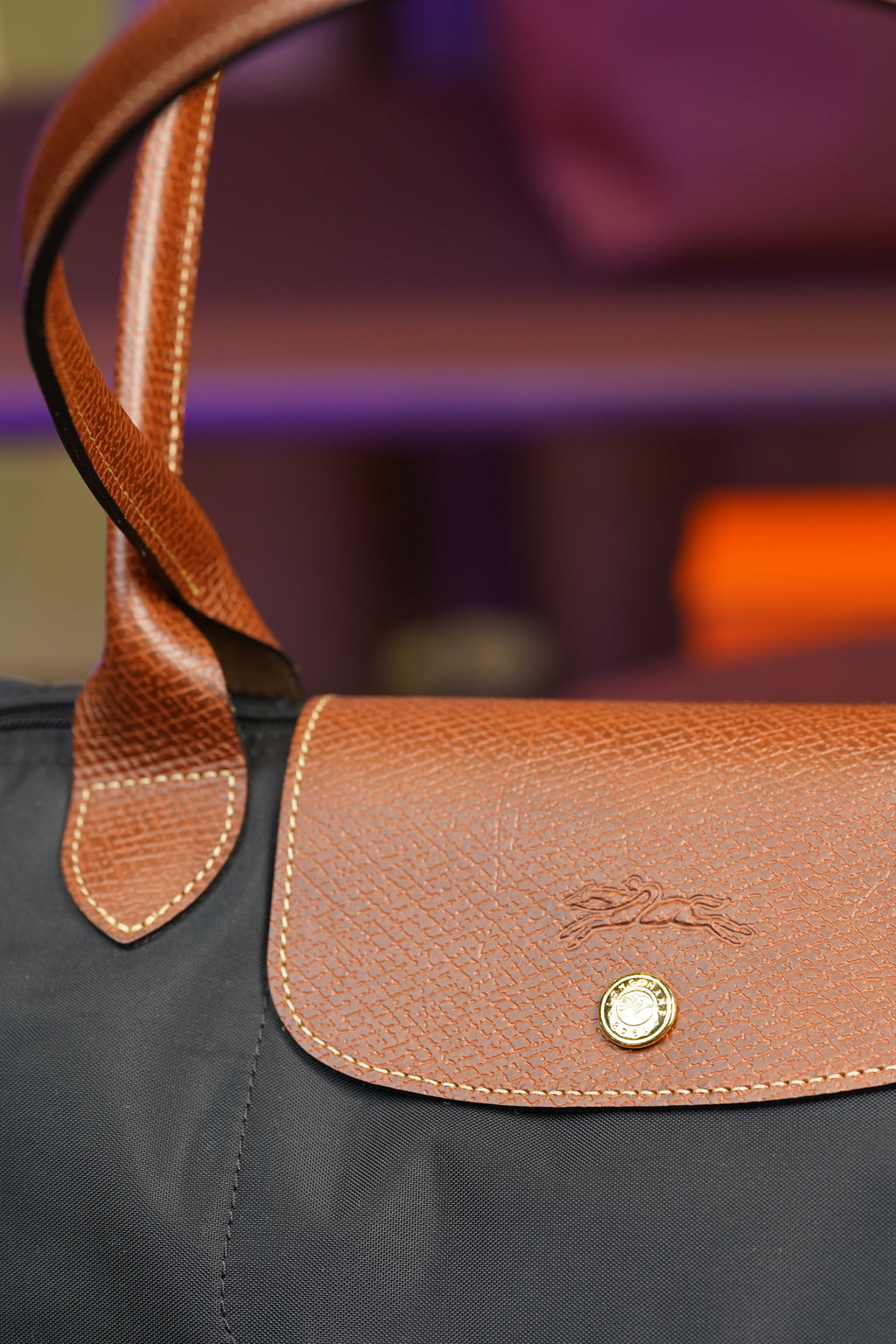 Longchamp Longhandle (Large)
