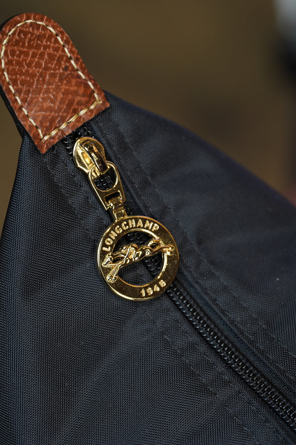 Longchamp Longhandle (Large)