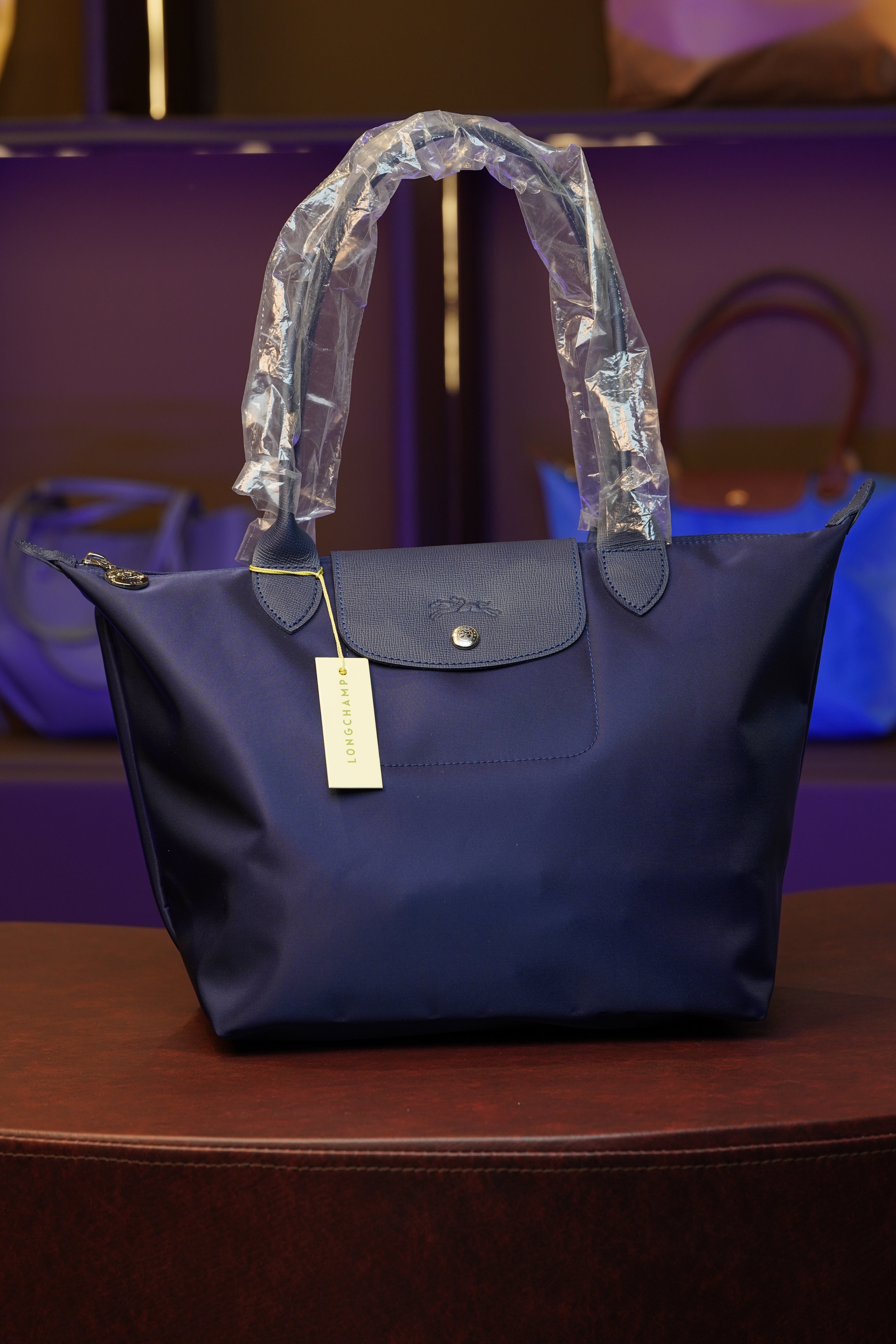 Longchamp Longhandle (Large)