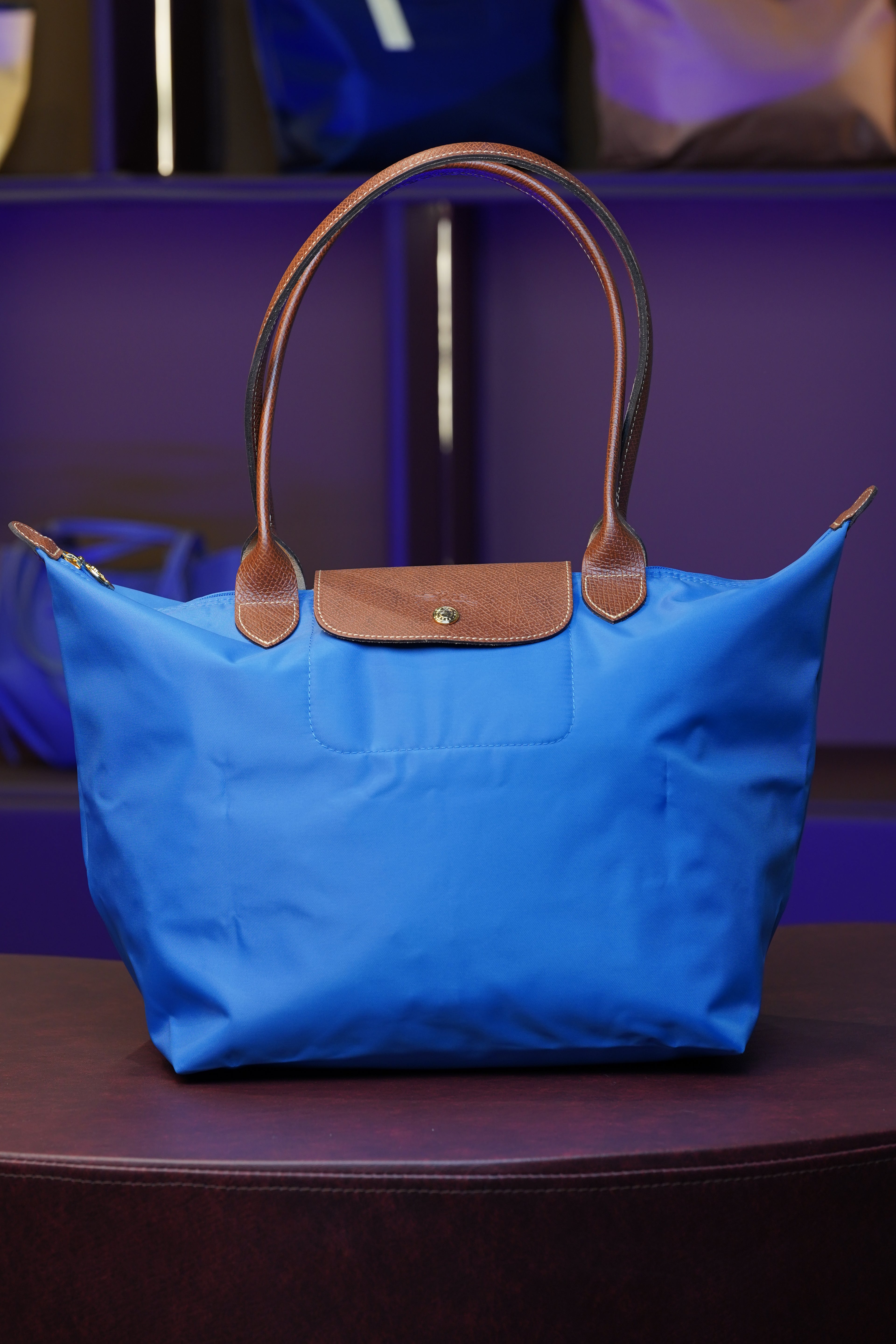 Longchamp Longhandle (Large)
