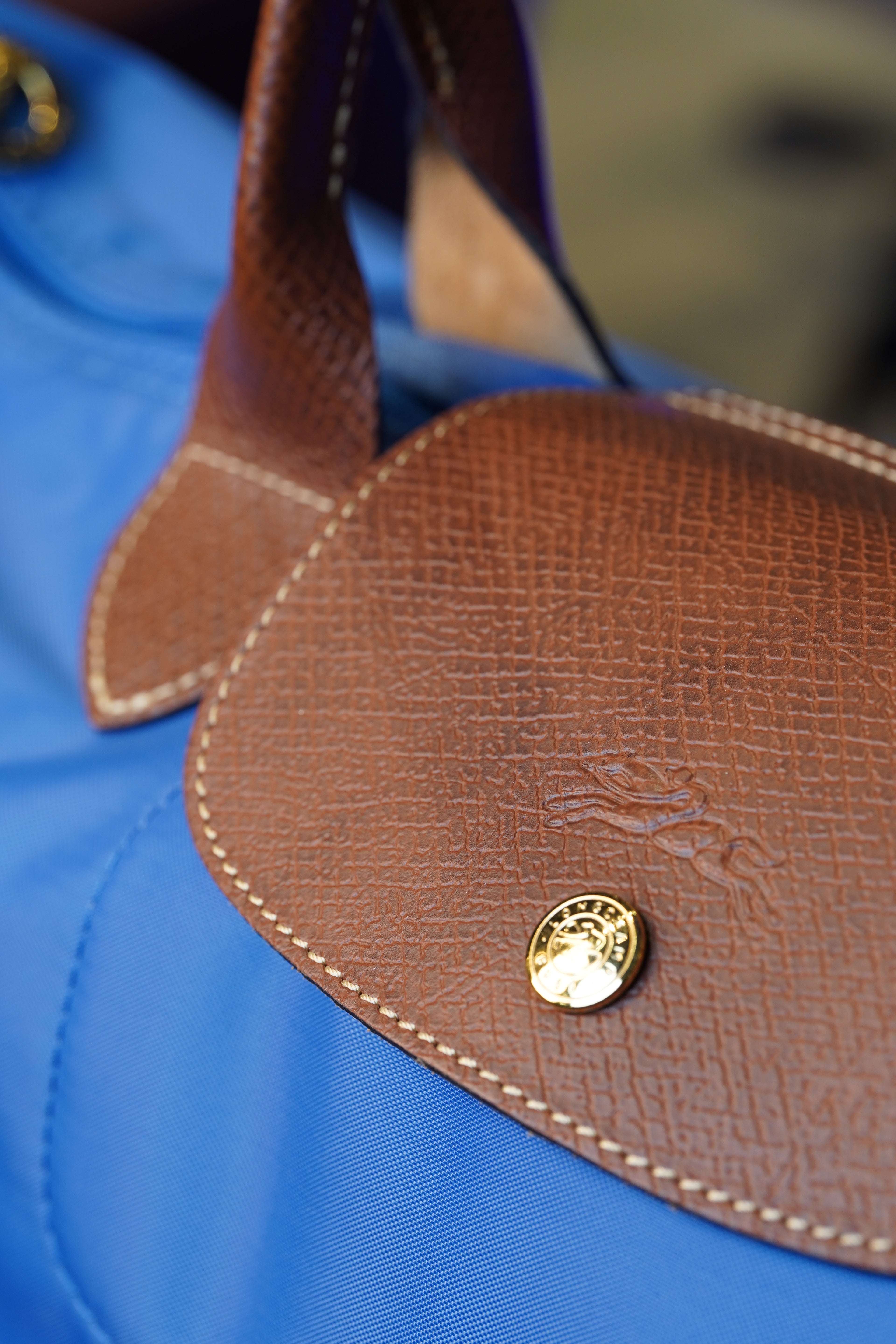 Longchamp Longhandle (Large)