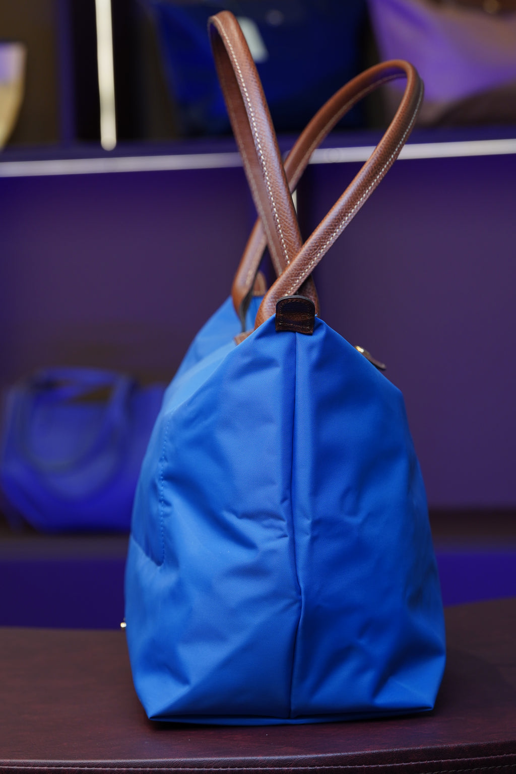 Longchamp Longhandle (Large)
