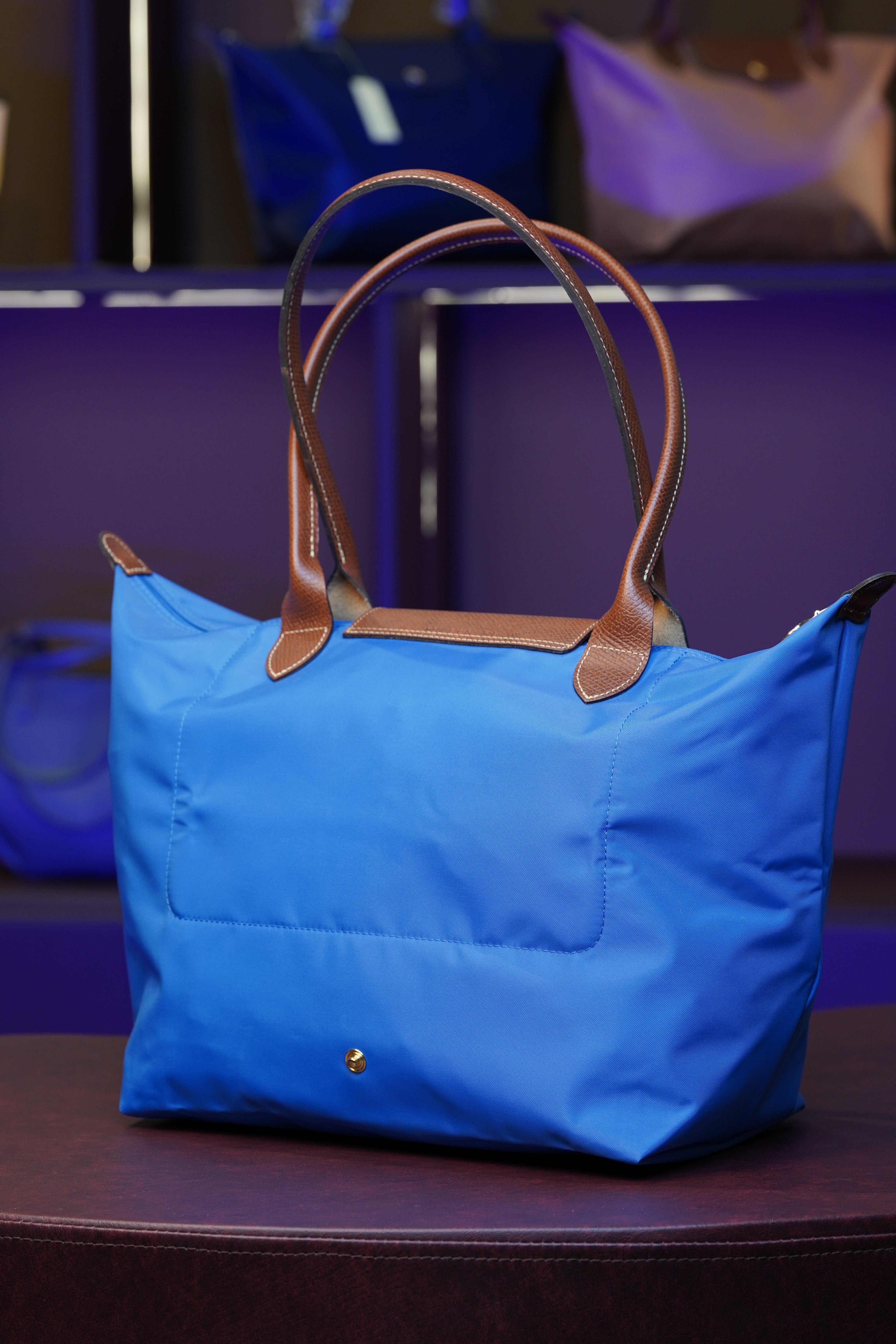 Longchamp Longhandle (Large)
