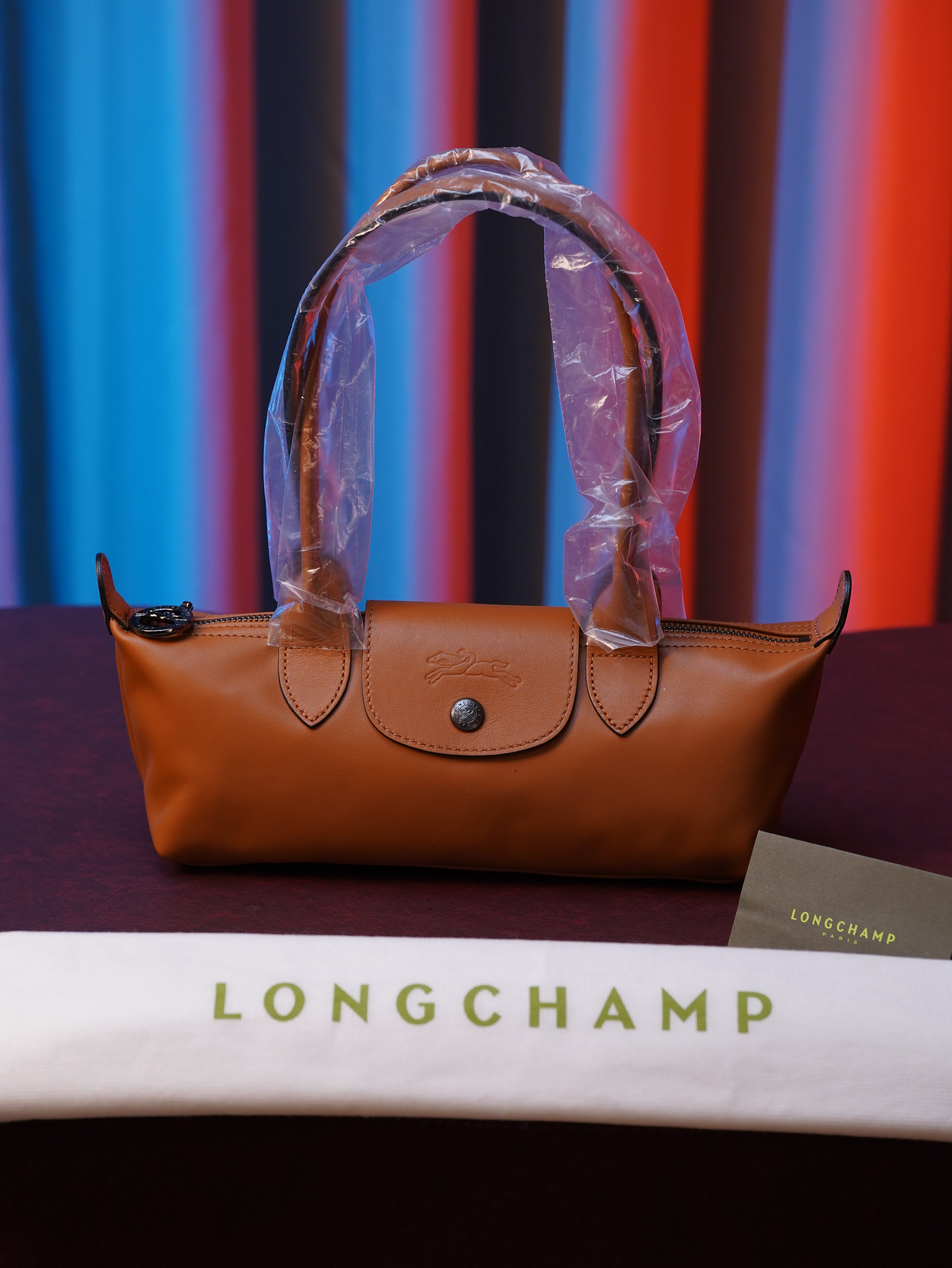 Longchamp Le Pliage Xtra
