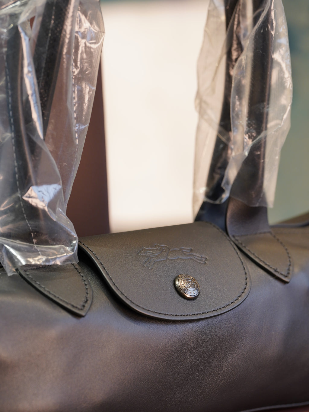 Longchamp Le Pilage - Xtra