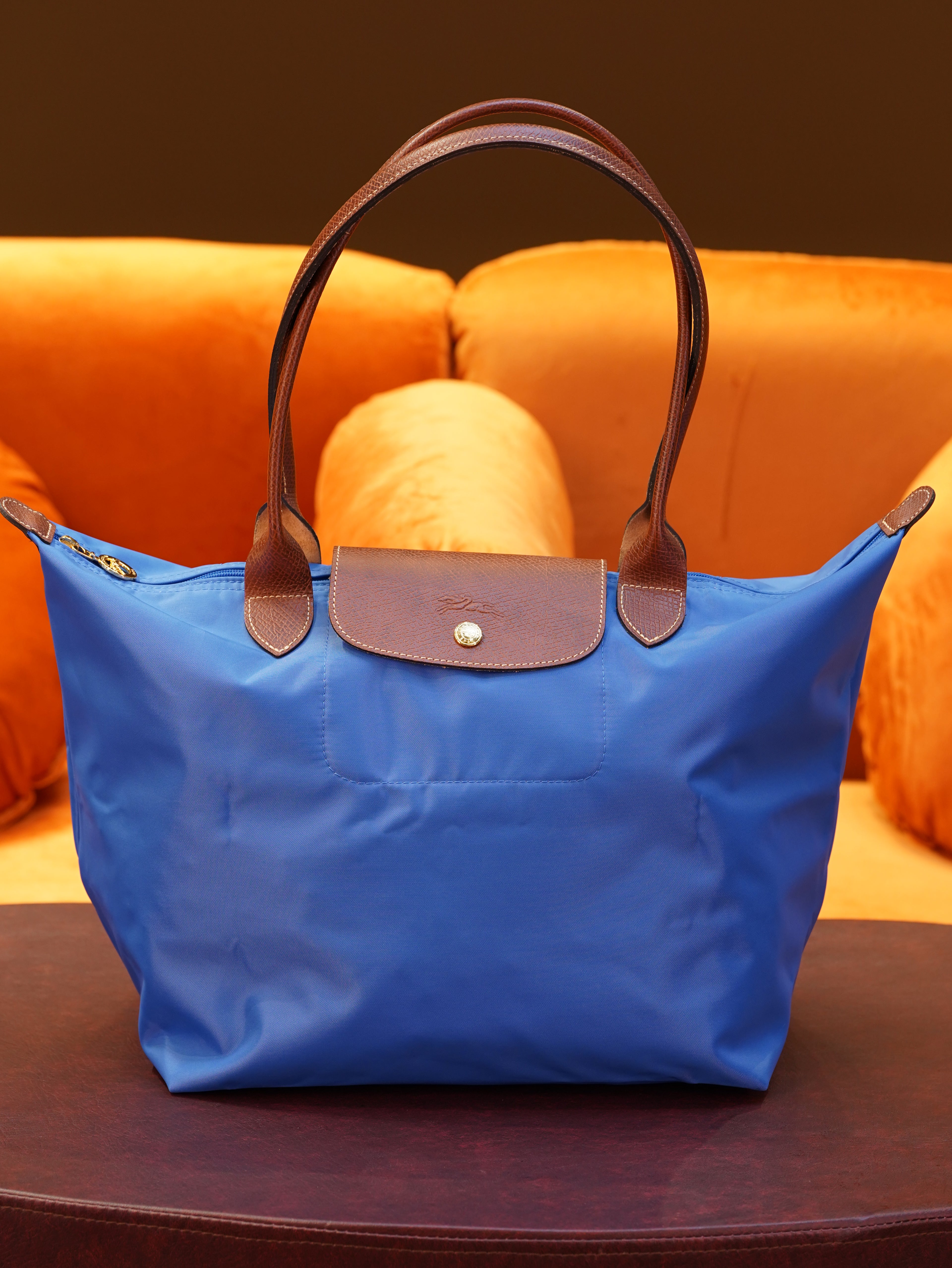 Longchamp Longhandle (Large)