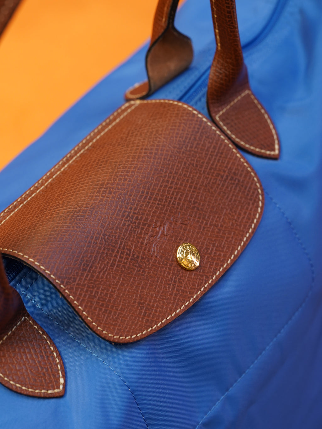 Longchamp Longhandle (Large)