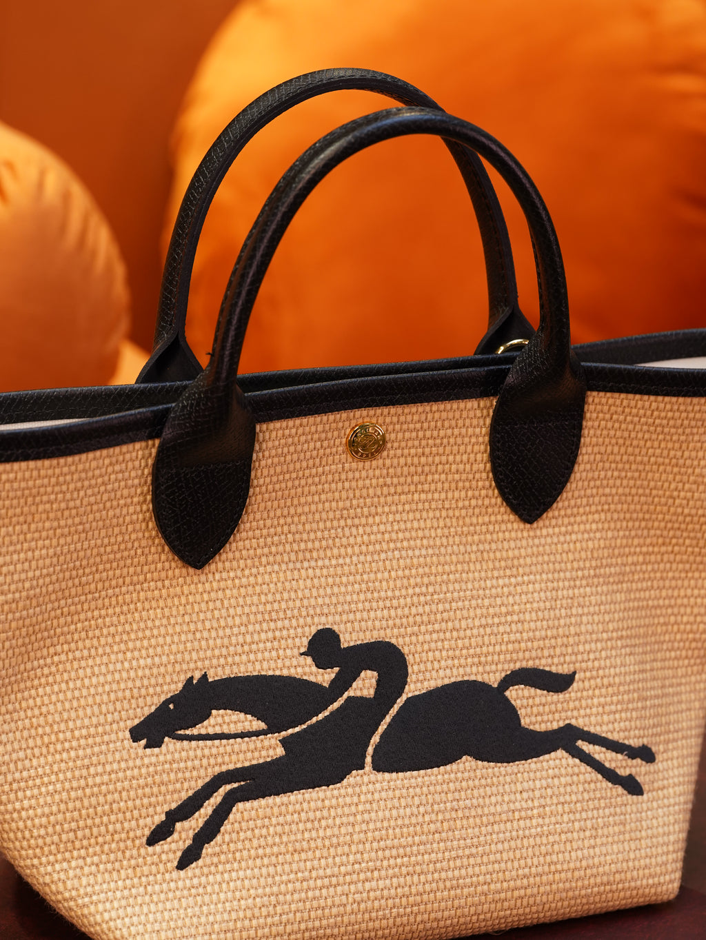 Longchamp Rattan