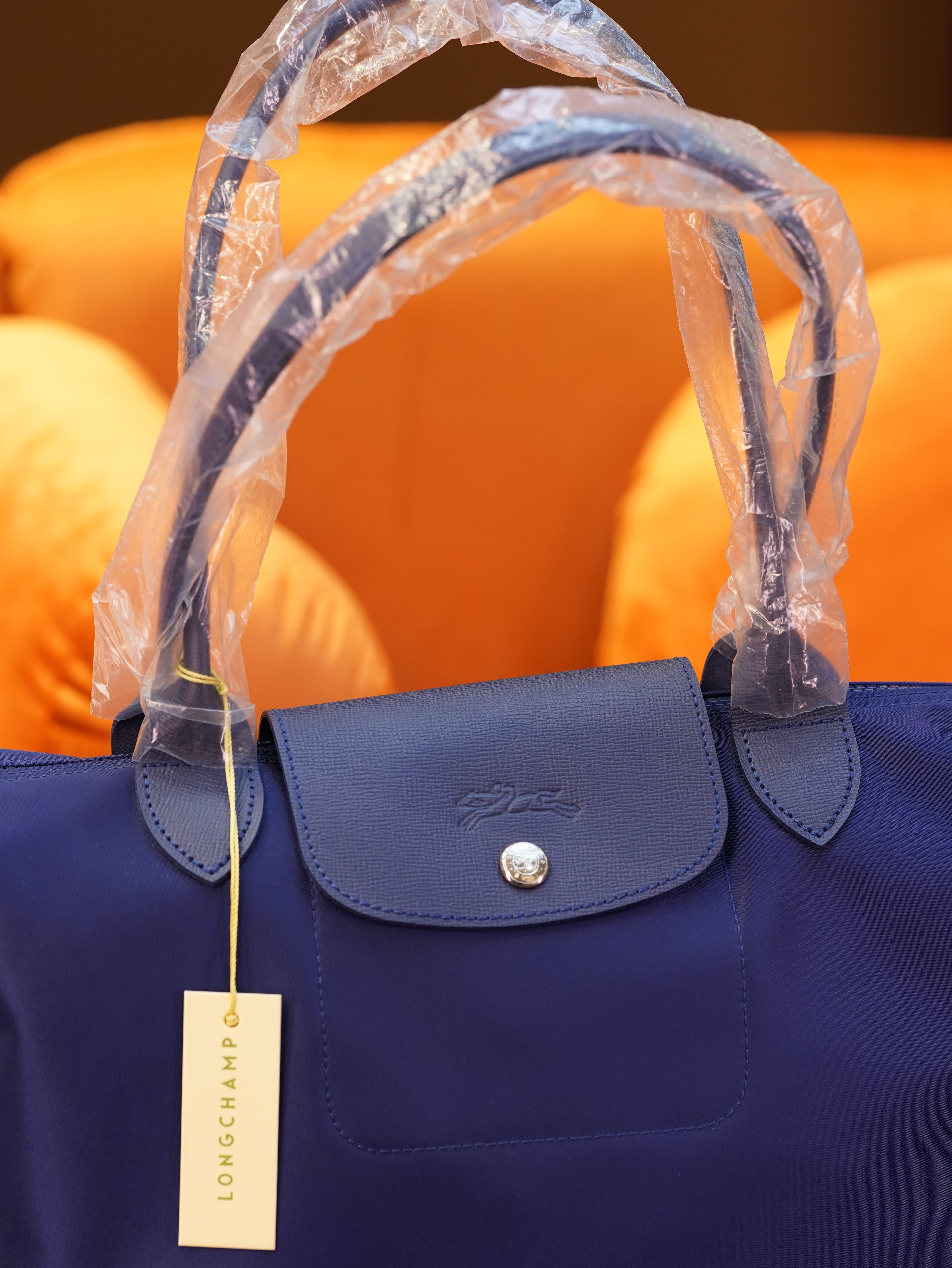 Longchamp Longhandle - Neo