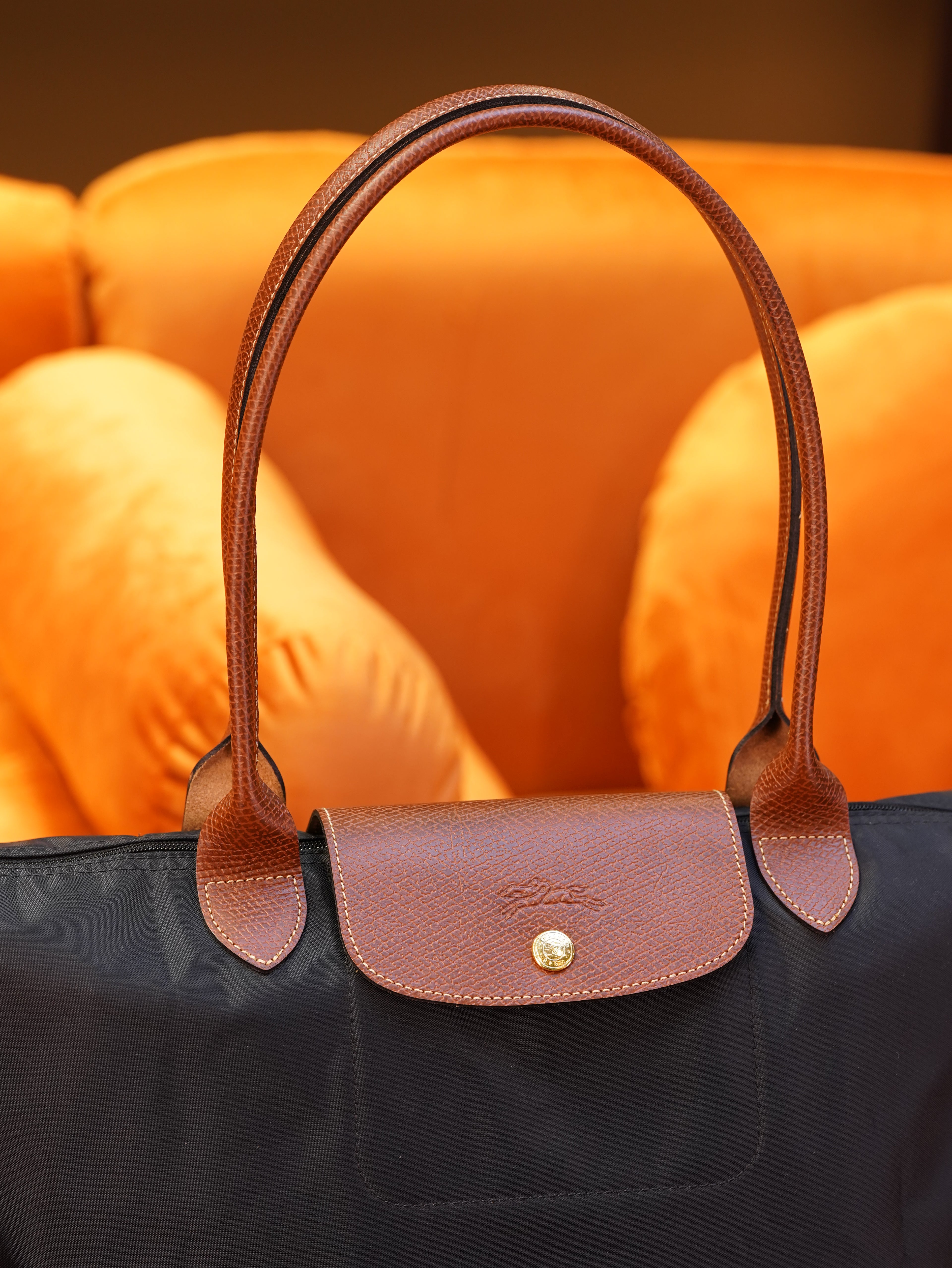 Longchamp Longhandle (Large)