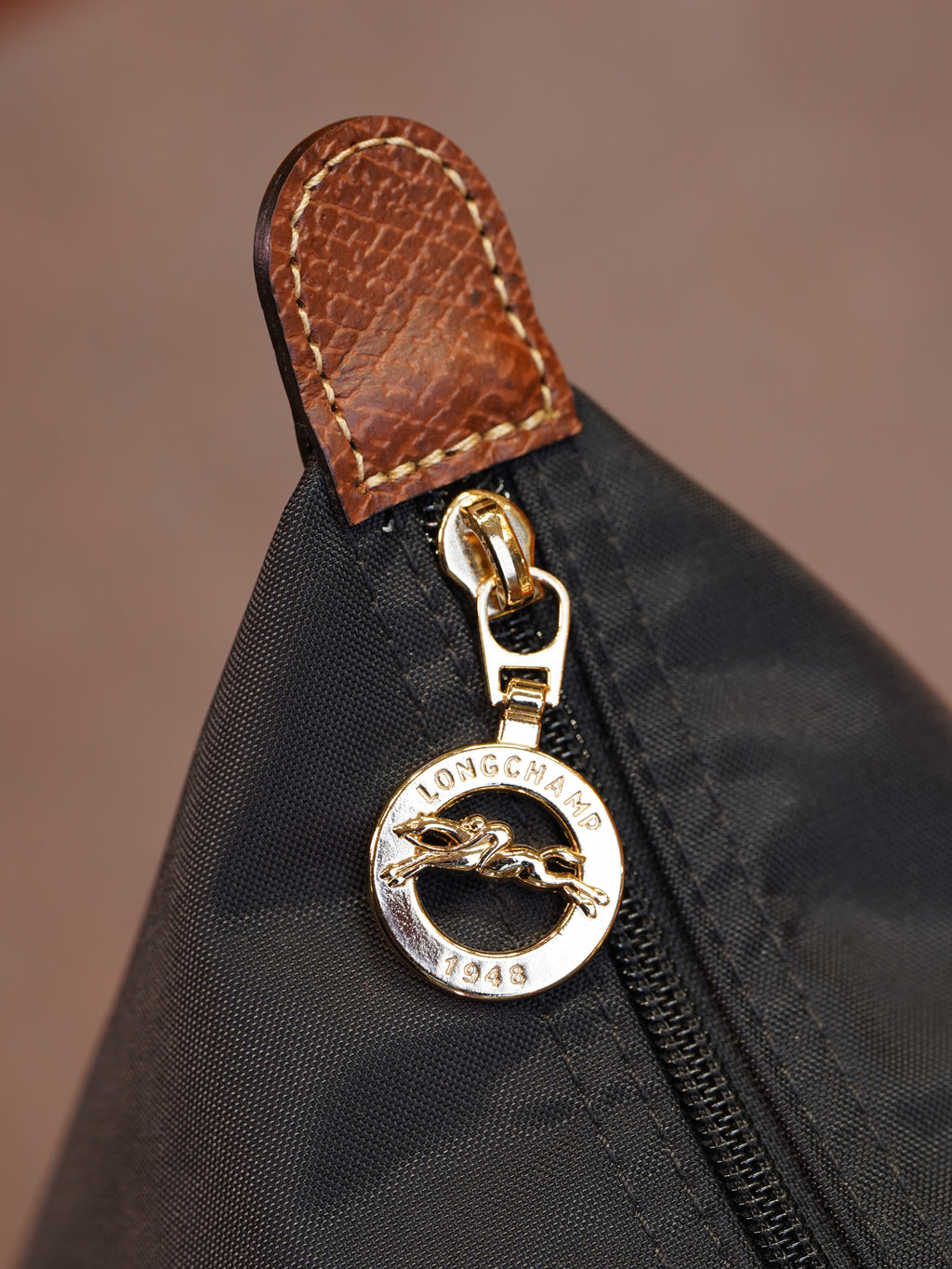 Longchamp Longhandle (Large)