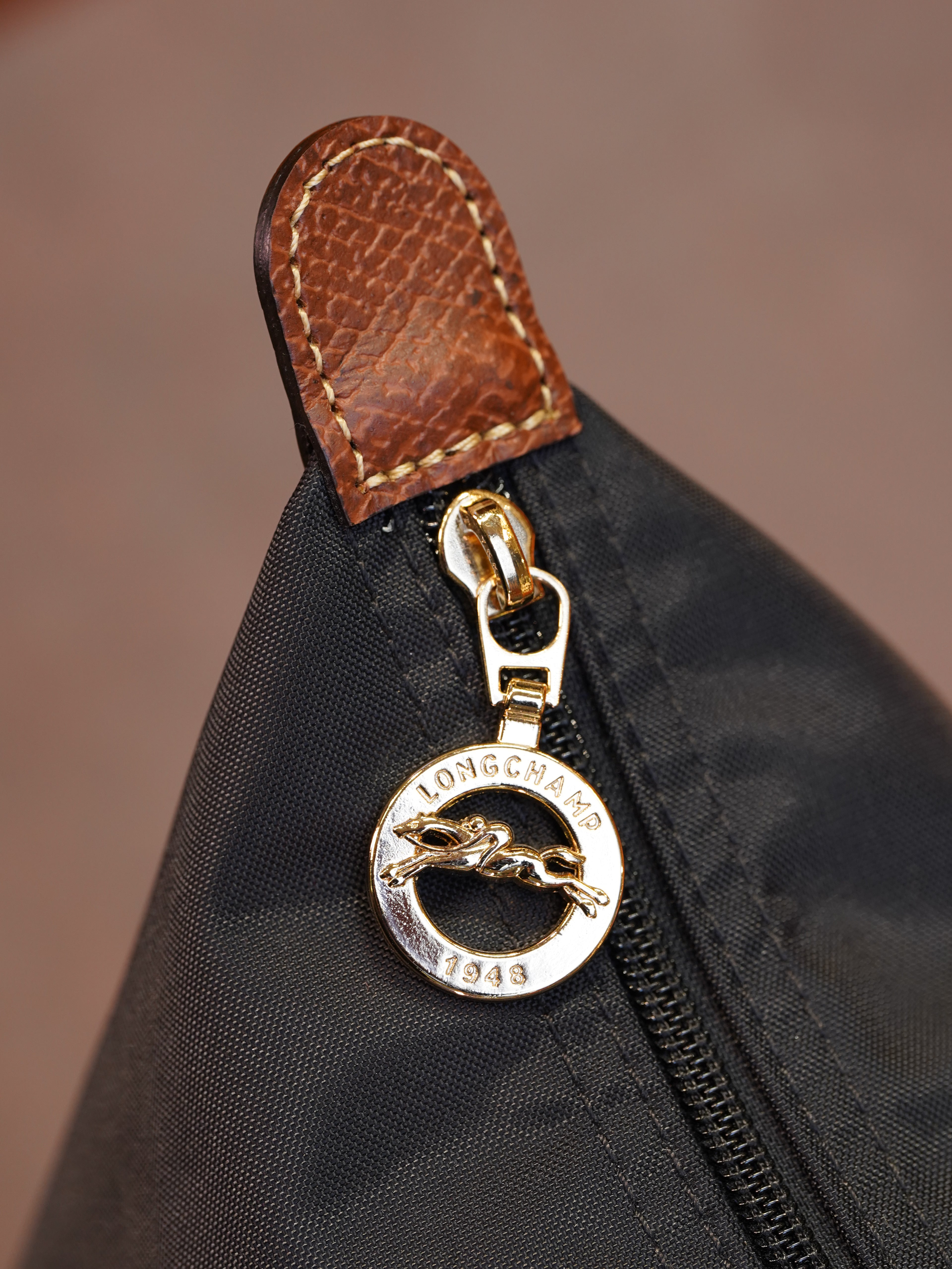 Longchamp Longhandle (Large)