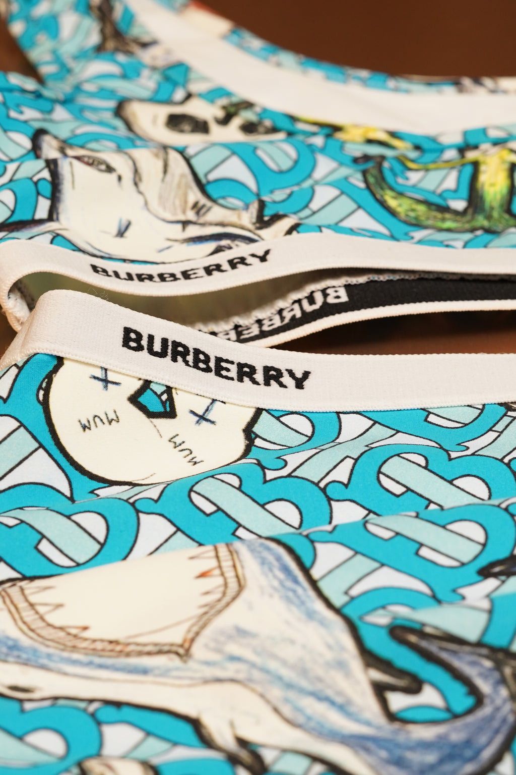 Burberry Swimsuit